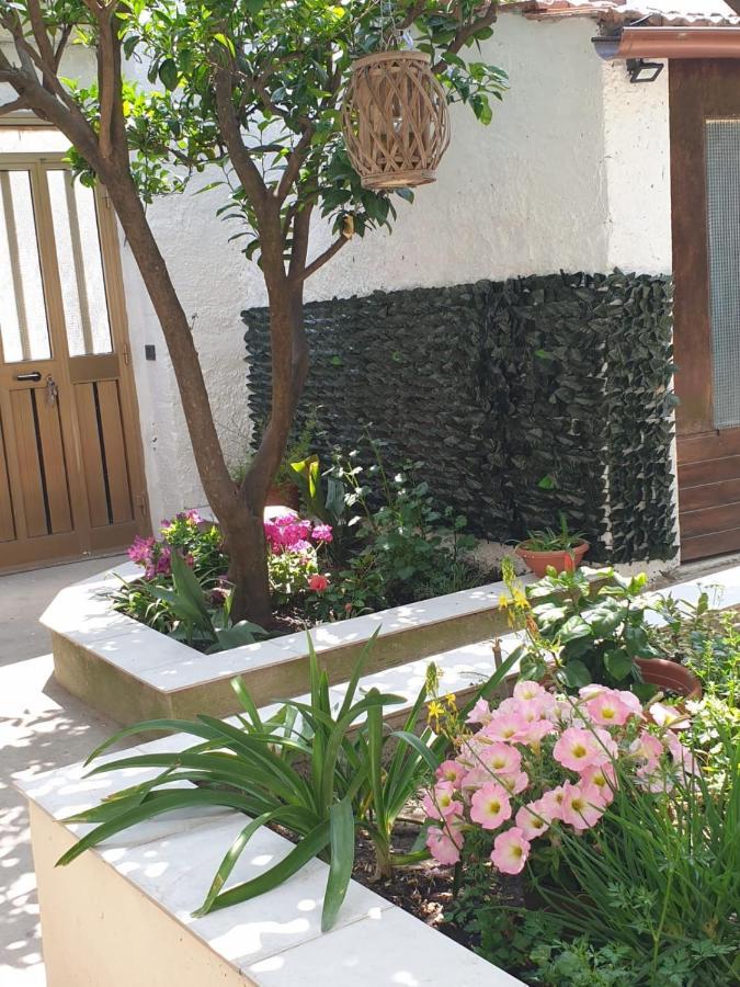 Casa Vacanze Con Giardino E Area Barbecue Martis Extérieur photo